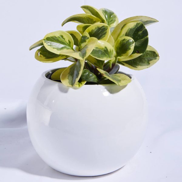 planta-conga-purificadora Planta Conga